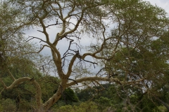 1_za-knp-6871-