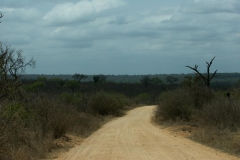 za-knp-6685-