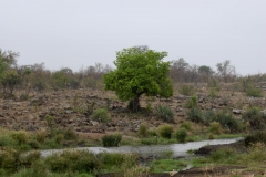 za-knp-8669-