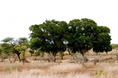 za-knp-9742-