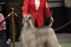 dsc0860