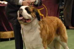 dsc1197