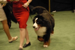 dsc1366