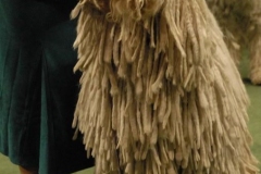 dsc1399