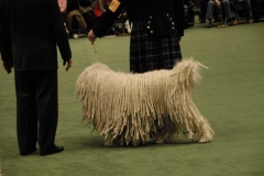 dsc1405