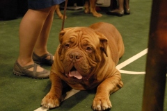 dsc1421