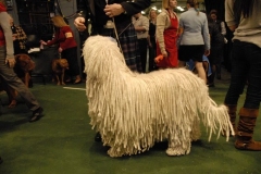 dsc1433