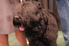 dsc1519