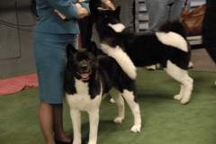 dsc1573