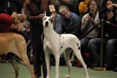 dsc1672
