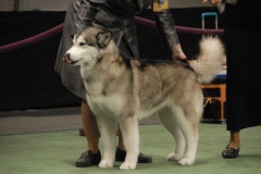 dsc1712