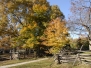 Virginia