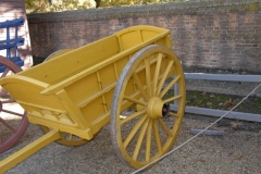 dsc8165