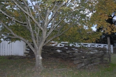 dsc8488