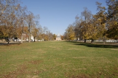 dsc8561