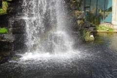 FC1B1EB7-F888-4D47-8667-FF82B6E0F3F8_1_105_c