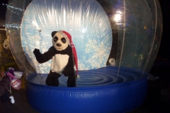 Jason-the-Panda-13-1024x805